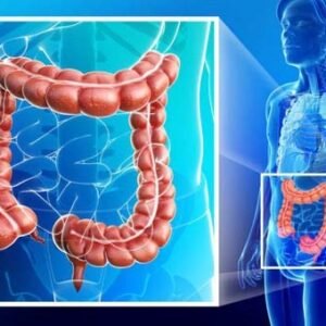 Bowel Detox / Colon Cleanse